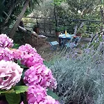 Bed & Breakfast I Glicini 3*