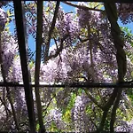 Bed & Breakfast I Glicini Vescina