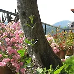Bed & Breakfast I Glicini Vescina