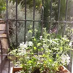 Bed & Breakfast I Glicini Vescina