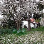I Glicini Vescina