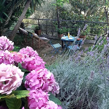 Bed and breakfast I Glicini 3*