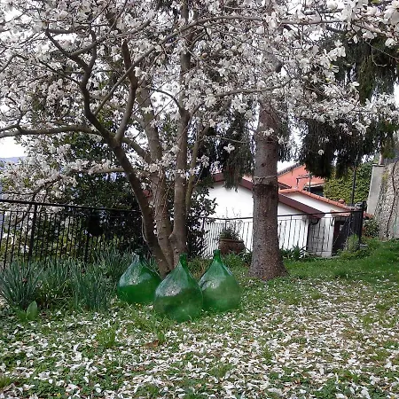 I Glicini Vescina