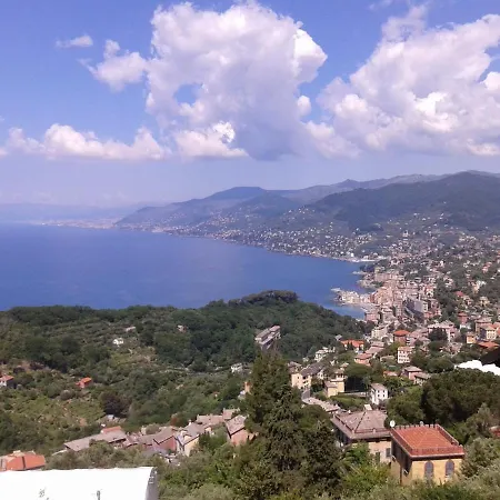 I Glicini 3*