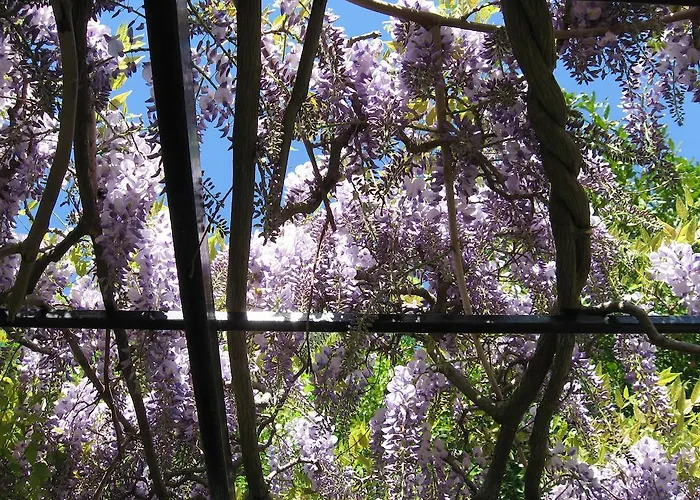 Bed and breakfast I Glicini Vescina