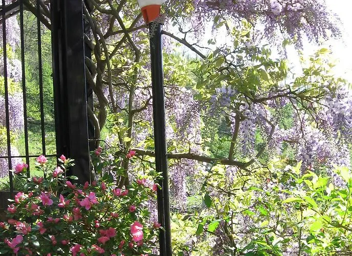 Bed and breakfast I Glicini