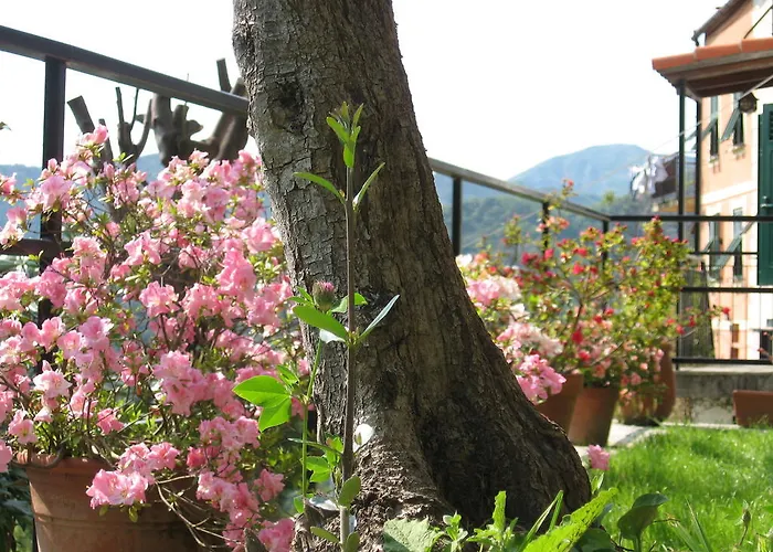 Bed and Breakfast I Glicini Vescina