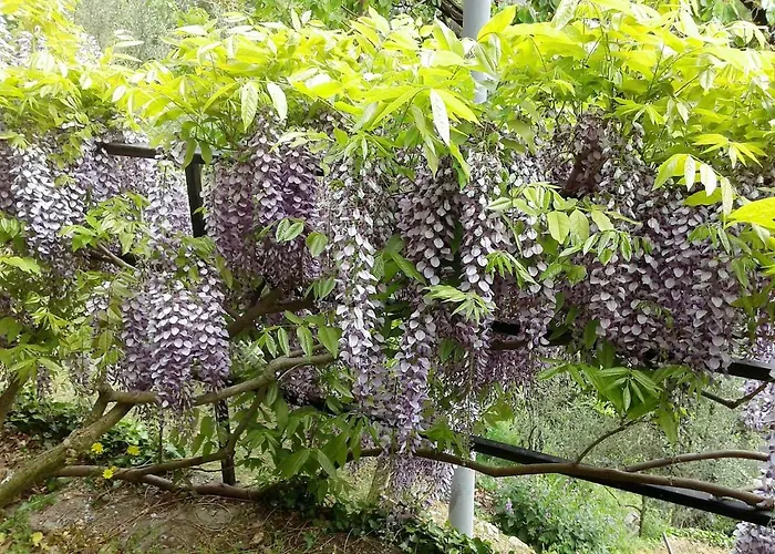 I Glicini Bed and breakfast Vescina