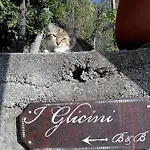 I Glicini 3*