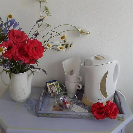 住宿加早餐酒店 I Glicini Vescina