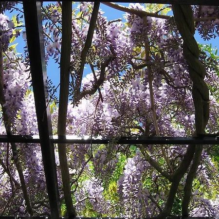 住宿加早餐酒店 I Glicini Vescina