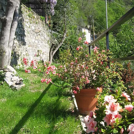 住宿加早餐酒店 I Glicini Vescina