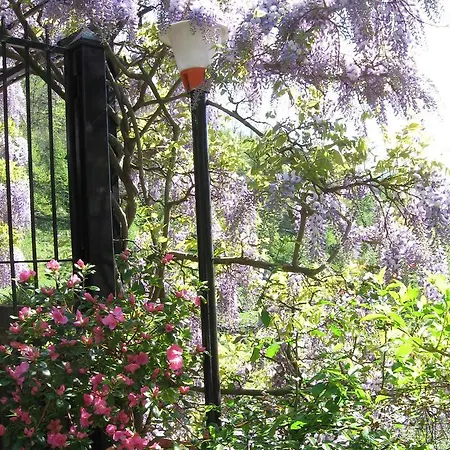 住宿加早餐酒店 I Glicini