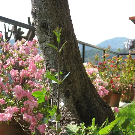 Alojamento de Acomodação e Pequeno-almoço I Glicini Vescina