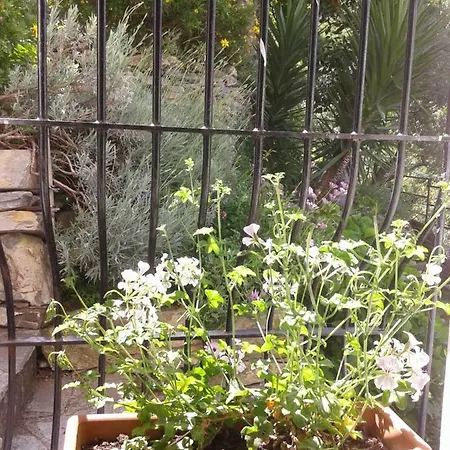 住宿加早餐酒店 I Glicini Vescina