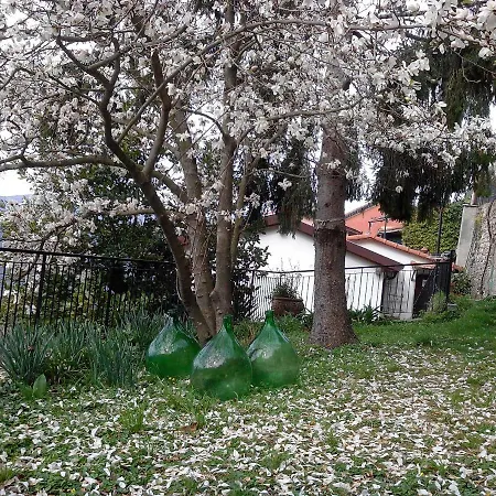 I Glicini Vescina