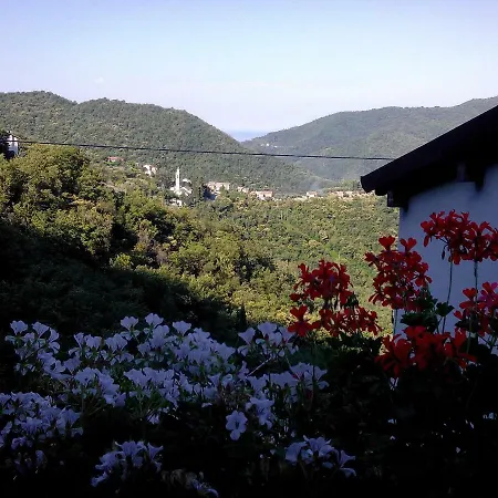 I Glicini * Vescina