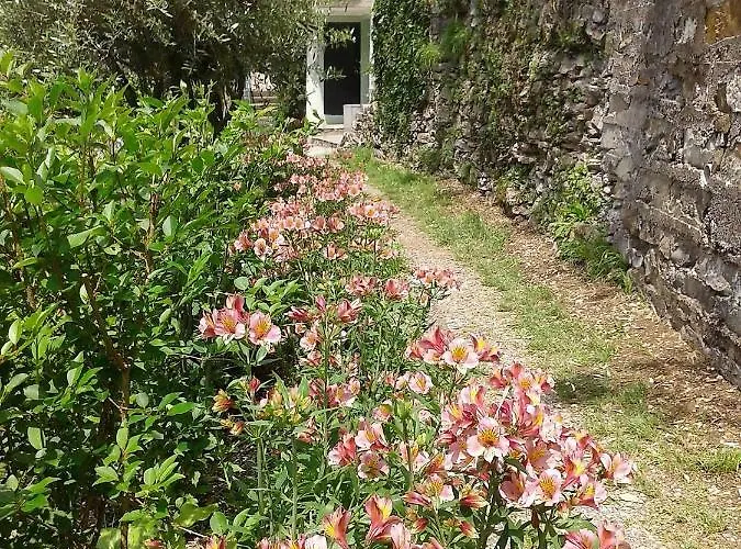 I Glicini B&B Vescina