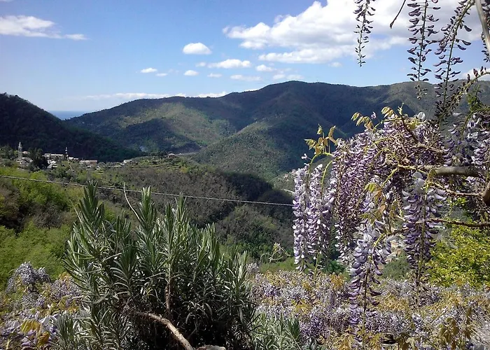 I Glicini B&B Vescina